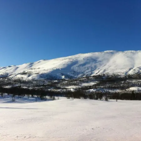 Hytteutleige Lodge