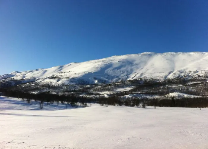 Hytteutleige Jaktstuga