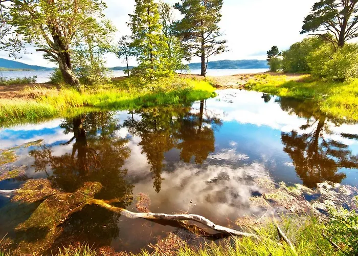 Jaktstuga Hytteutleige *