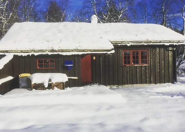 Hytteutleige Rauland