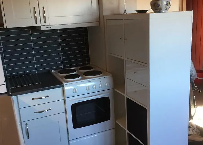 Hytteutleige Rauland